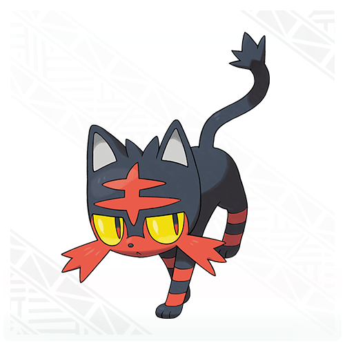 litten_2