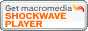 Obtén Macromedia Shockwave Player gratis